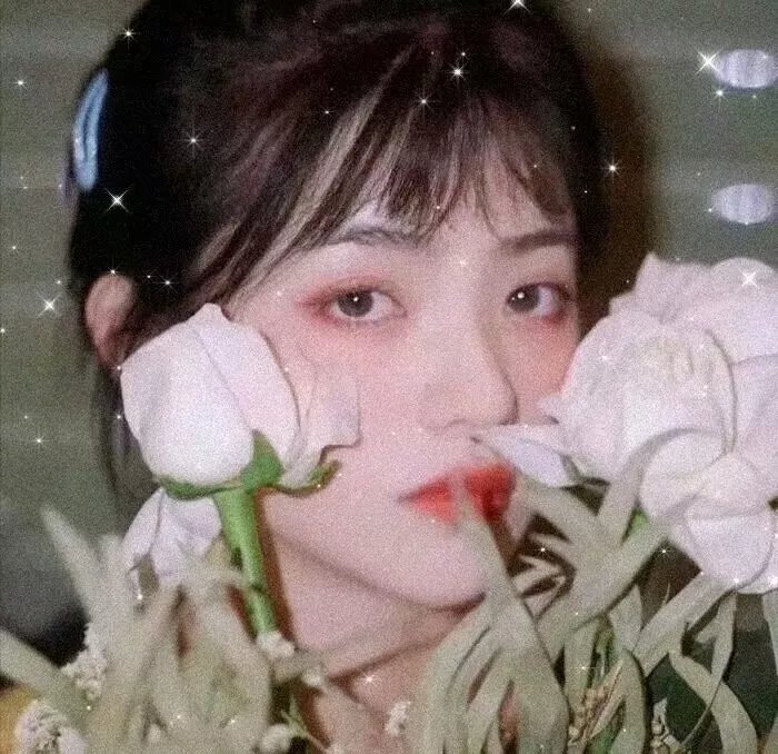 夏洛特